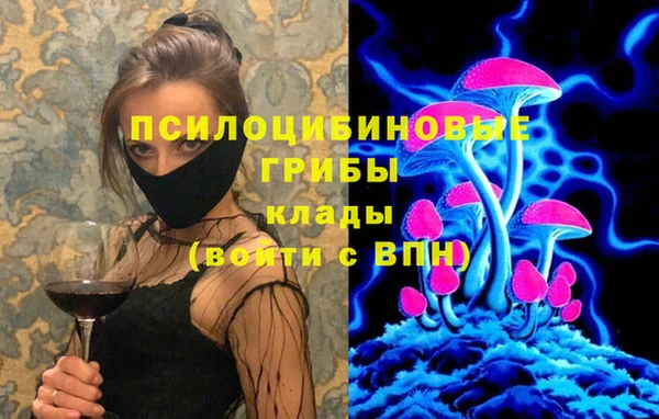 спиды Строитель