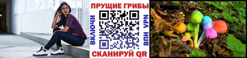 Галлюциногенные грибы Psilocybine cubensis  Верхний Тагил 
